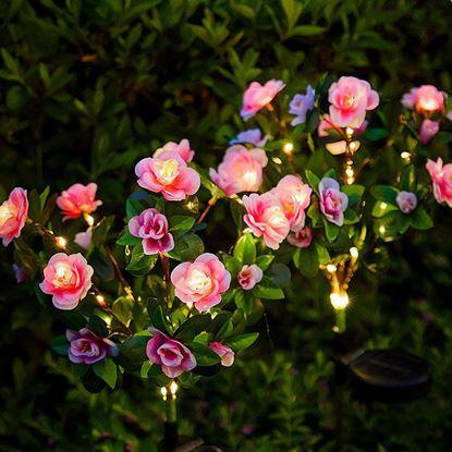 Obraz Słoneczna wiązanka