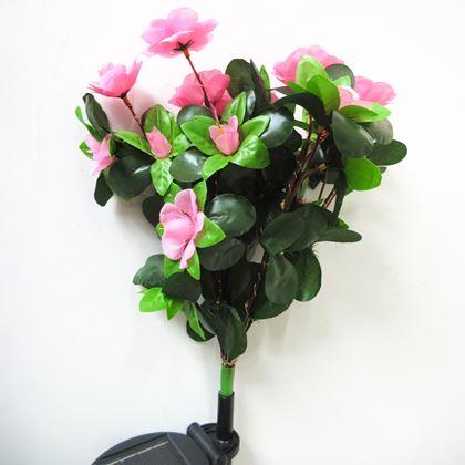 Obrazek z Słoneczna wiązanka