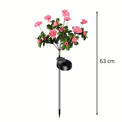 Obrazek z Słoneczna wiązanka