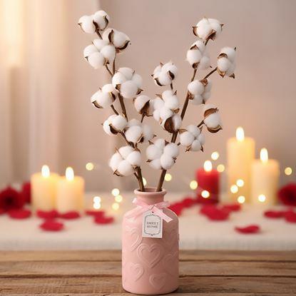 Obraz Gałązka suszonej bawełny