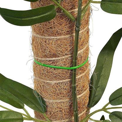 Obraz Podpora dla roślin pnących