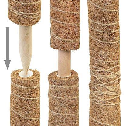 Obraz Podpora dla roślin pnących