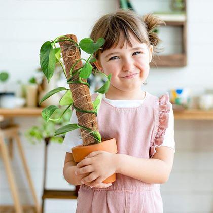 Obrazek z Podpora dla roślin pnących