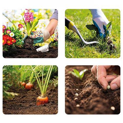 Obrazek z Zestaw narzędzi ogrodowych 5 szt.