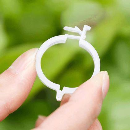 Obrazek z Klipsy/paski do mocowania roślin 50 szt.