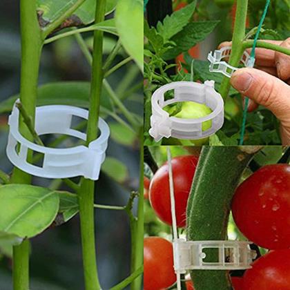Obrazek z Klipsy/paski do mocowania roślin 50 szt.