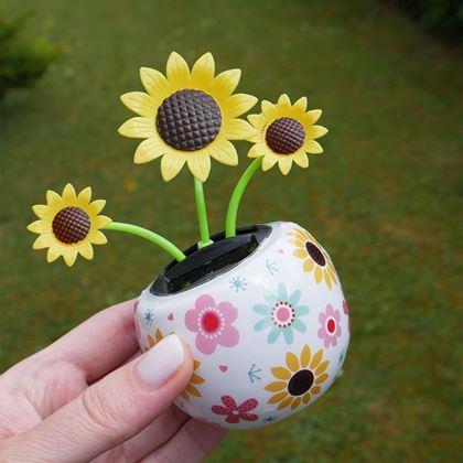 Obrazek z Solarny kwiatek  - słonecznik