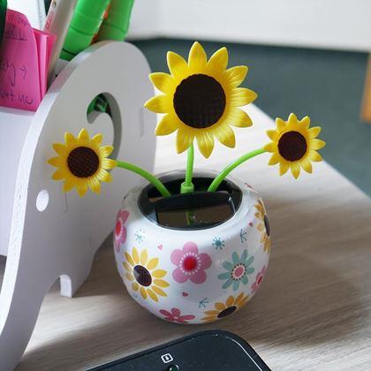 Obrazek z Solarny kwiatek  - słonecznik