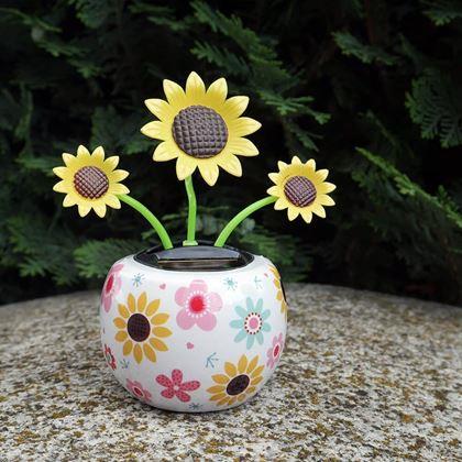 Obrazek z Solarny kwiatek  - słonecznik