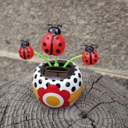 Obraz Solarny kwiatek 