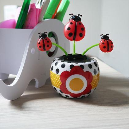 Obrazek z Solarny kwiatek  - biedronka