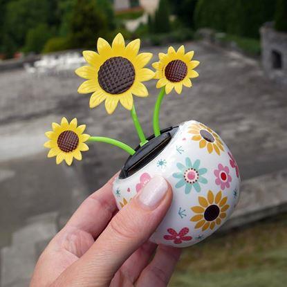 Obraz Solarny kwiatek 