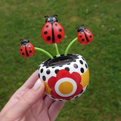 Obraz Solarny kwiatek 