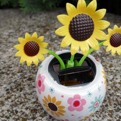 Obrazek z Solarny kwiatek  - słonecznik