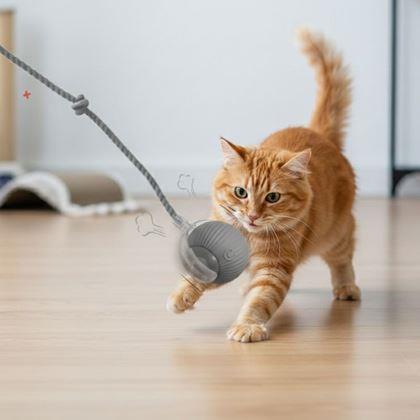 Obrazek z Ładowana piłka ruchoma dla zwierząt