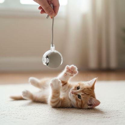 Obraz Ładowana piłka ruchoma dla zwierząt