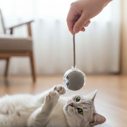 Obrazek z Ładowana piłka ruchoma dla zwierząt