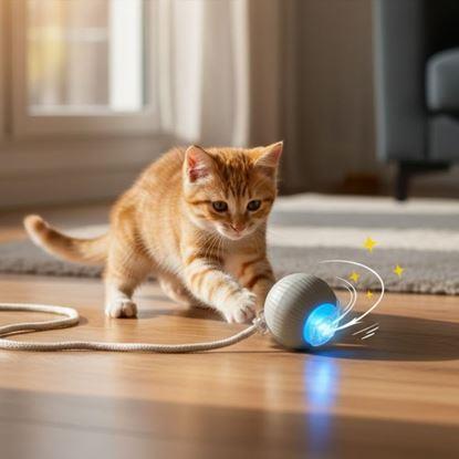 Obraz Ładowana piłka ruchoma dla zwierząt