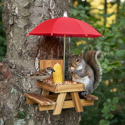 Obraz Drewniany karmnik