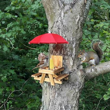 Obrazek z Drewniany karmnik