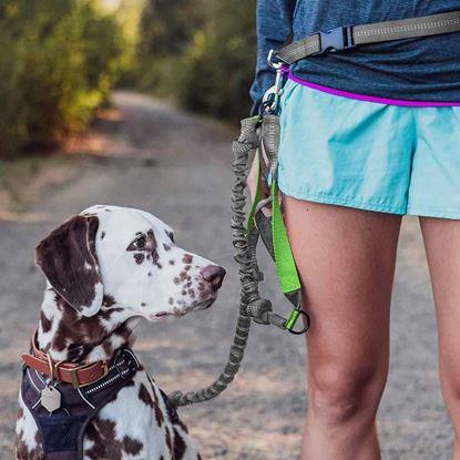 Obraz Wielofunkcyjna smycz do biegania z psem