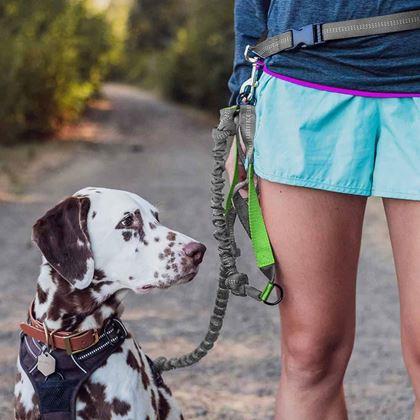 Obrazek z Wielofunkcyjna smycz do biegania z psem