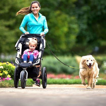 Obrazek z Wielofunkcyjna smycz do biegania z psem