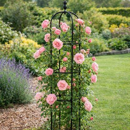 Obraz Podpora dla roślin pnących 140 cm