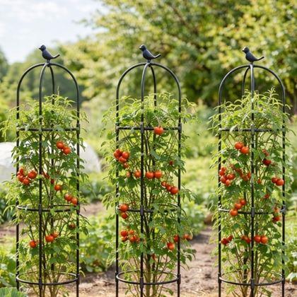 Obrazek z Podpora dla roślin pnących 140 cm