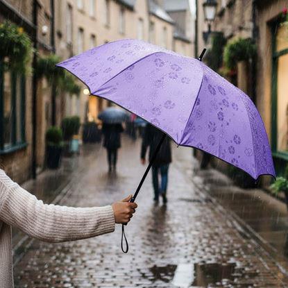 Obraz Magiczna składana parasolka