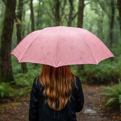 Obraz Magiczna składana parasolka