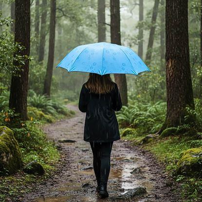 Obraz Magiczna składana parasolka