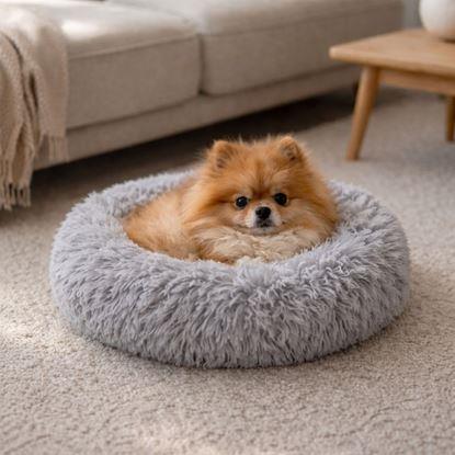 Obraz Puchate legowisko dla kotów, średnica 40 cm