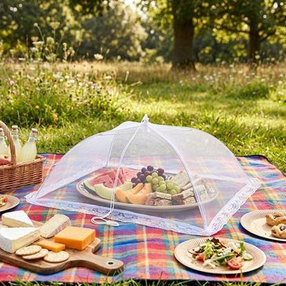 Obraz Siatka ochronna na żywność 60 x 40 cm