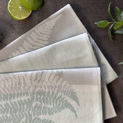 Obraz Zestaw 3 bawełnianych ściereczek 50x70 cm - paprocie