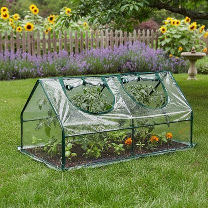 Obraz Mini szklarnia foliowa 120 x 60 x 61 cm