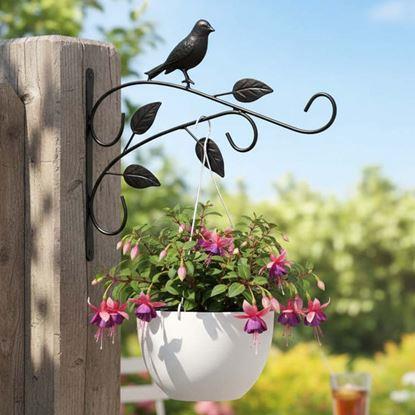 Obraz Dekoracyjny metalowy uchwyt na wiszące doniczki