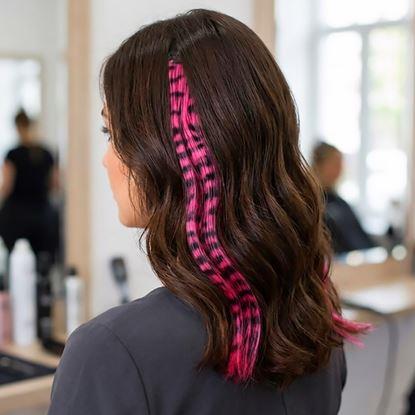 Obraz Kolorowy pasemko clip in 45 cm, ogon szopa