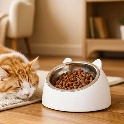 Obrazek z Miska dla kotów 2w1