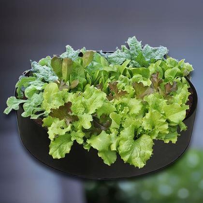 Obrazek z Tekstylny grządka 50 l, 60 x 20 cm