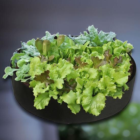 Obrazek z Tekstylny grządka 50 l, 60 x 20 cm