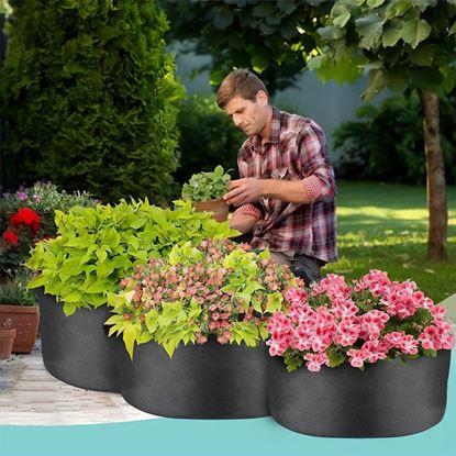 Obraz Tekstylny grządka 50 l, 60 x 20 cm