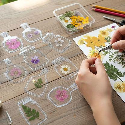 Obraz DIY herbarium - naklejki z suszonych kwiatów