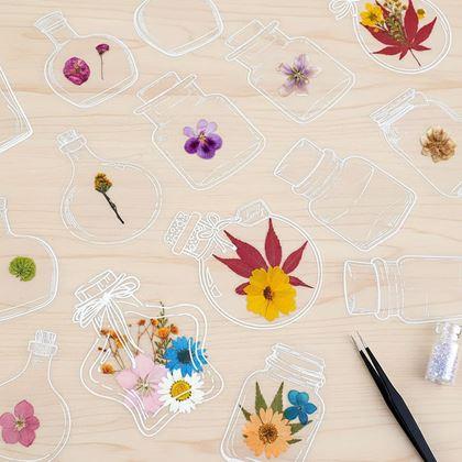 Obrazek z DIY herbarium - naklejki z suszonych kwiatów