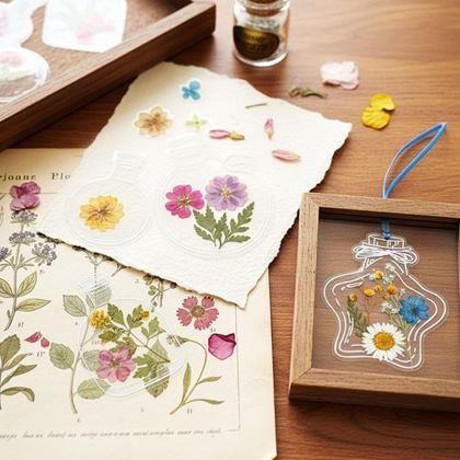 Obrazek z DIY herbarium - naklejki z suszonych kwiatów