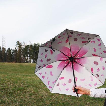 Obrazek z Składany parasol  -  białe płatki