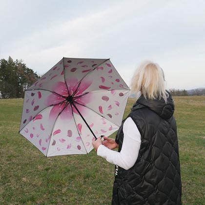 Obrazek z Składany parasol  -  białe płatki