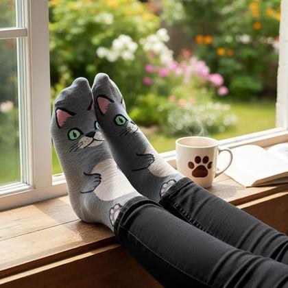Obrazek z Wesołe skarpetki z kotkiem  -  szare