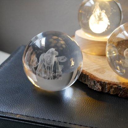Obraz Świecąca kula LED znak zodiaku 