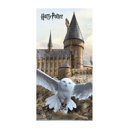 Obraz Ręcznik - Harry Potter